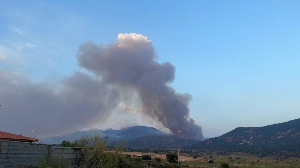INCENDIOS FORESTALES EN EXTREMADURA: ALGO NO CUADRA